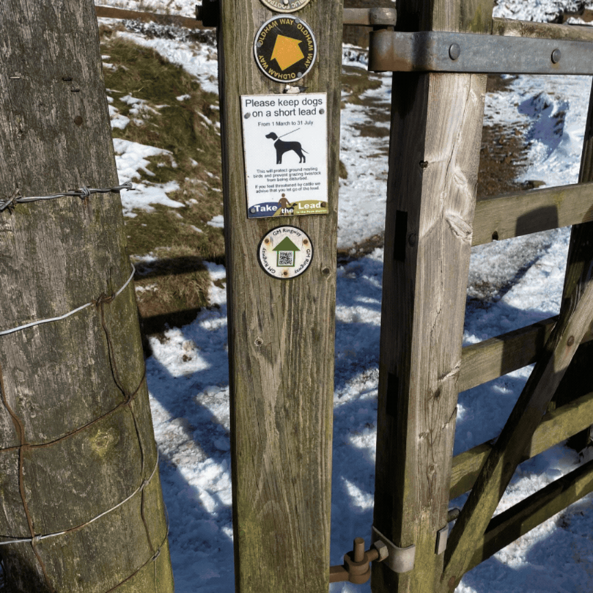 Group 18 GROUP 18 (Posted 17 Mar 2026 16:15)