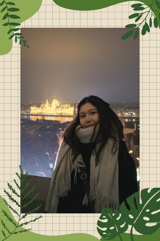 Group 17 SEEDS TO SEATS (Posted 18 Feb 2026 18:18)