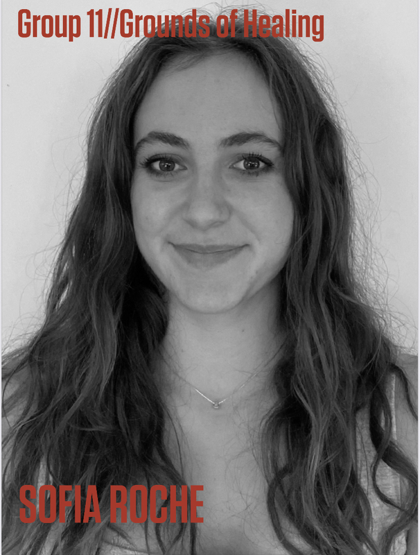 Group 11 GROUNDS OF HEALING (Posted 3 Mar 2026 14:43)