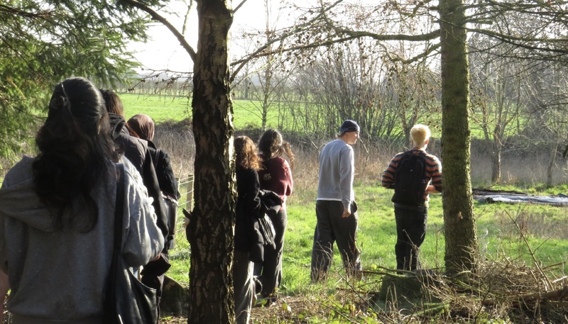 Group 20 DENS OF DISCOVERY (Posted 12 Mar 2026 18:04)